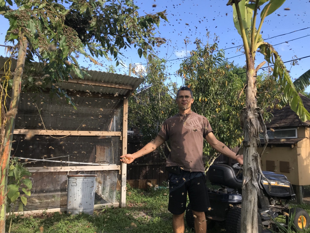 Bee To Z beekeeper standing near active hives