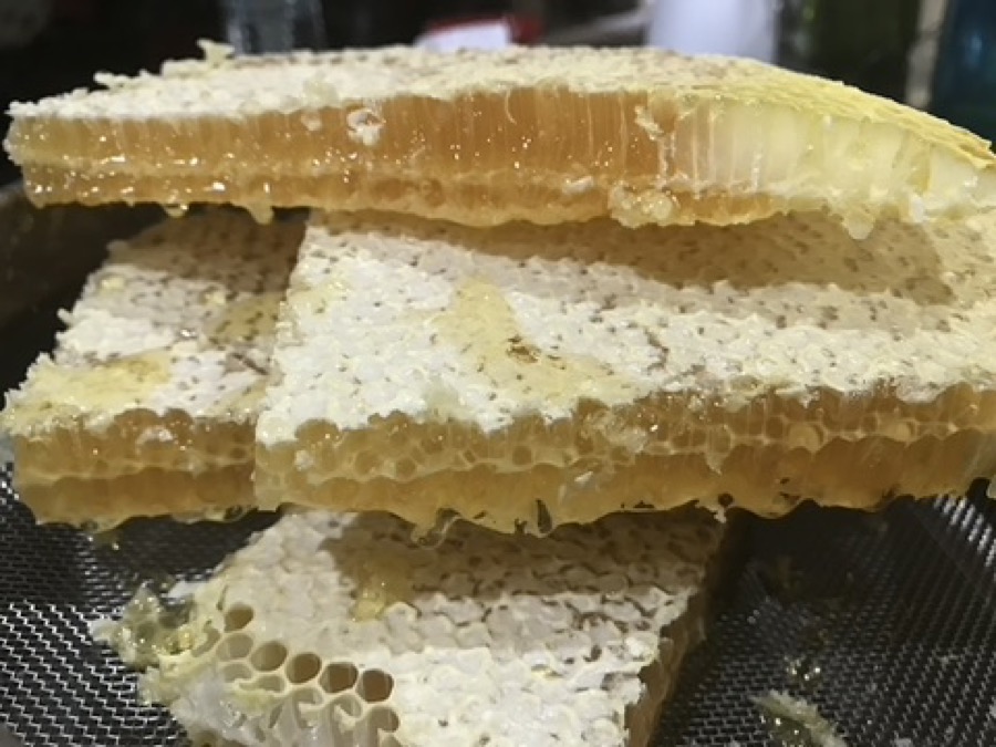 Fresh cut comb honey stacked after harvest